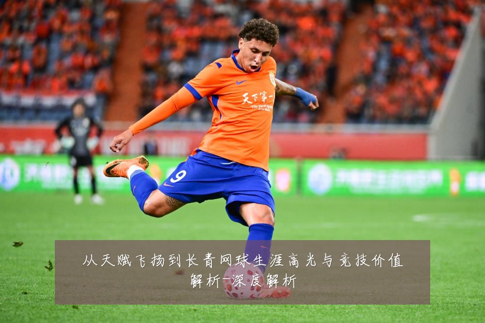从天赋飞扬到长青网球生涯高光与竞技价值解析-深度解析