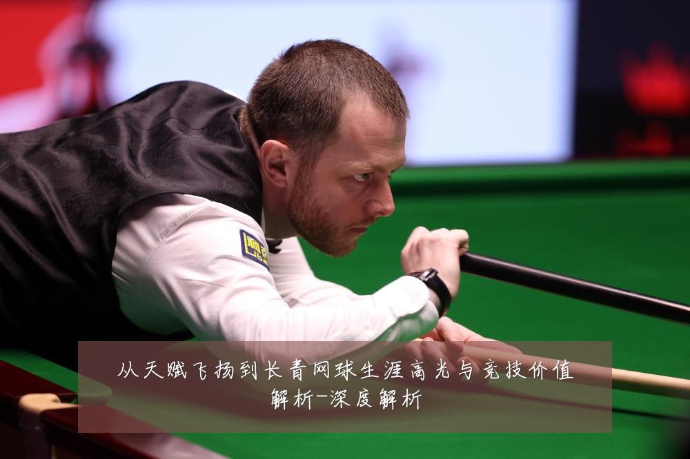 从天赋飞扬到长青网球生涯高光与竞技价值解析-深度解析